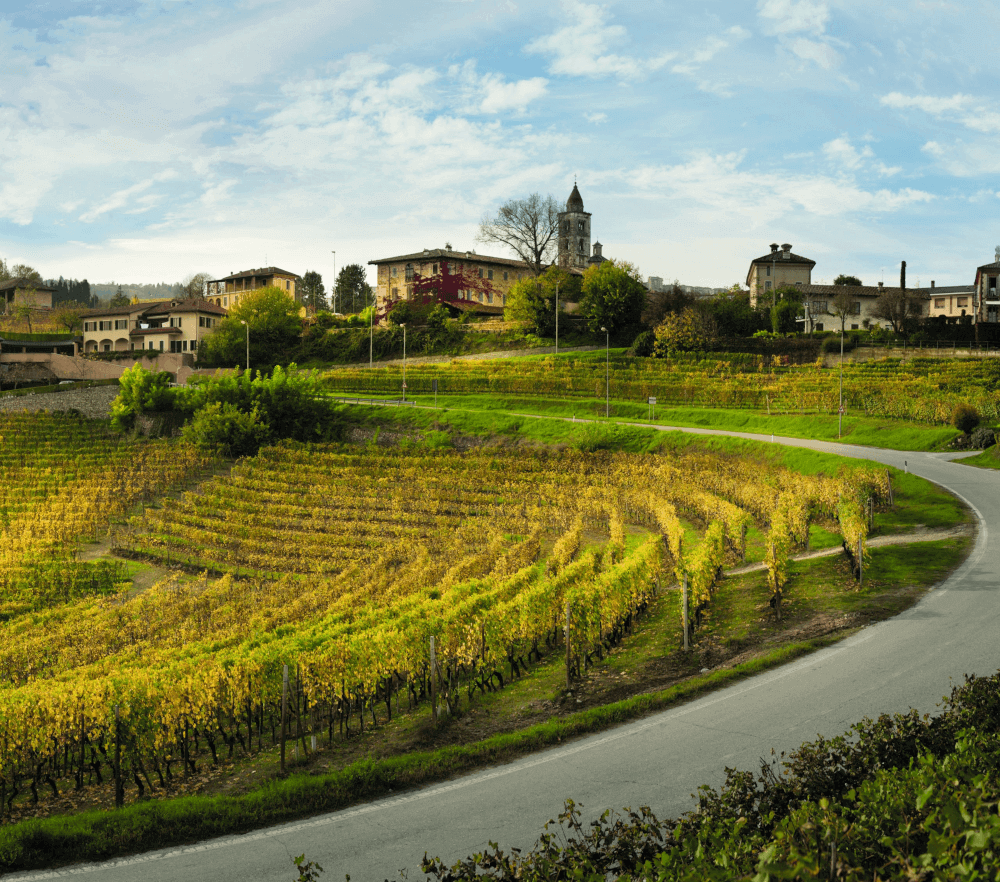Mauro Molino Estate