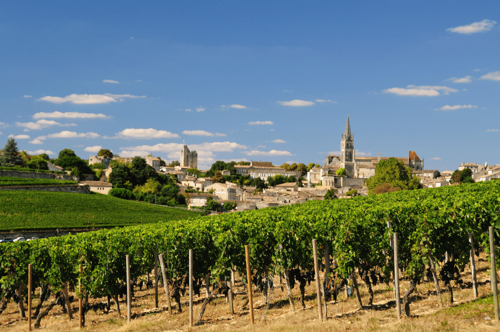 Vinice Saint Emilion Vinice Saint Emilion