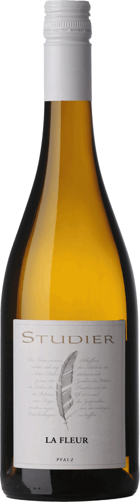 Vorschau: 6er Kennenlern-Weinpaket - Das Grundstudium vom Weingut Studier