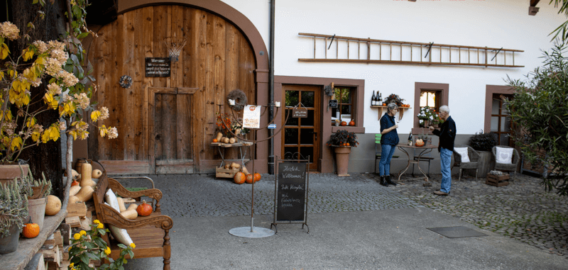 Ziereisen Court