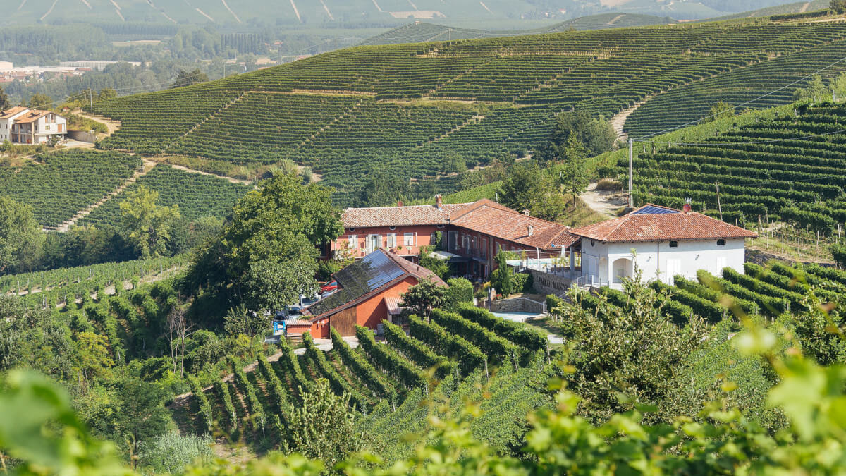 Vinárstvo Manzone - Panorama
