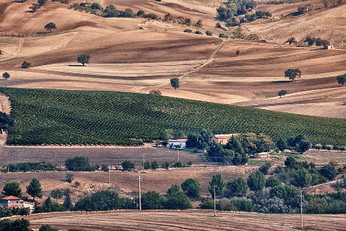 Vinárstvo Vigneti del Vulture v regióne Basilicata