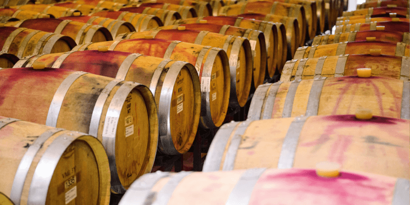 Matetic Vineyards Sudy