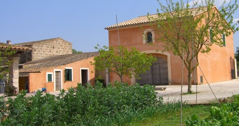 weingut-can_majoralweinberg-2 weingut-can_majoral-weinberg-2