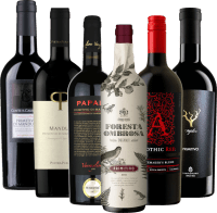 Primitivo Bestseller Hidden Champions 6x Ochutnávkový balíček od VINELLO