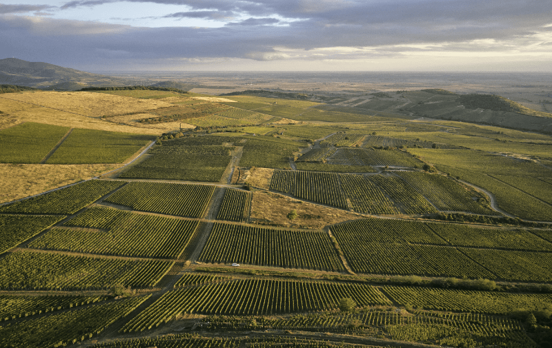 Tokaj Hegyalja vinohrady z vtáčej perspektívy Tokaj Hegyalja vinohrady z vtáčej perspektívy