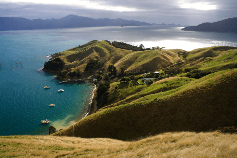 Gravel & Loam Marlborough Sounds