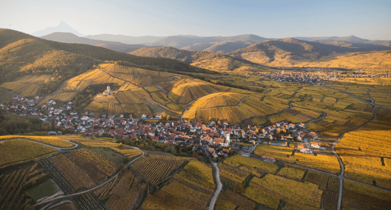 Domaine Marcel Deiss Okolie