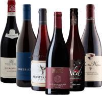 6x balíček odrôd – S Pinot Noir okolo sveta