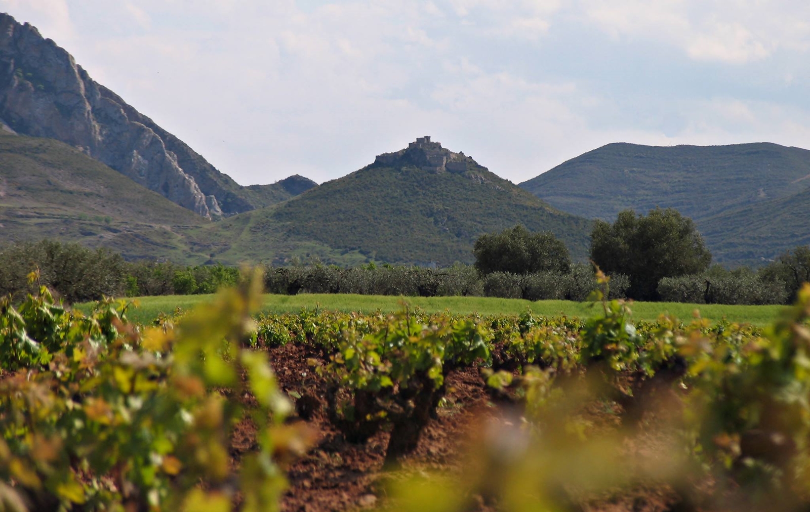 Valle de Jubera ponúka perfektné pestovateľské podmienky