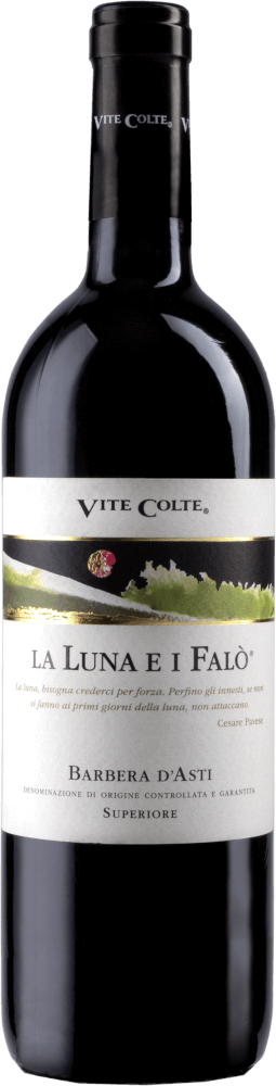 Vorschau: 6er Kennenlernpaket - Weine aus Barolo von Vite Colte