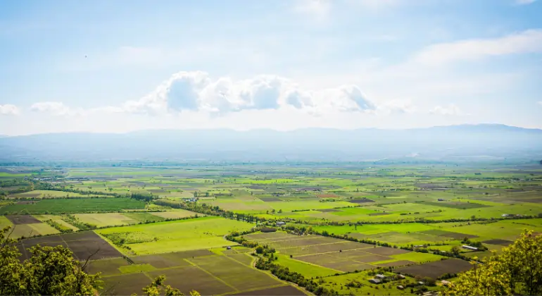 8K Ancient red - Vinárstvo Teliani Valley - zvýhodnený balík 6×
