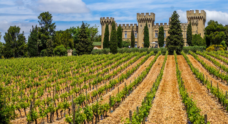 Vinárstvo pri Châteauneuf-du-Pape