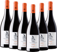 6x Vorteils-Weinpaket 1921 Primitivo di Manduria Riserva DOP - Varvaglione