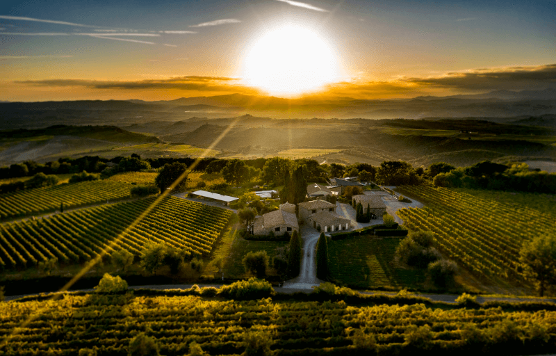 Pohľad na vinárstvo Talenti