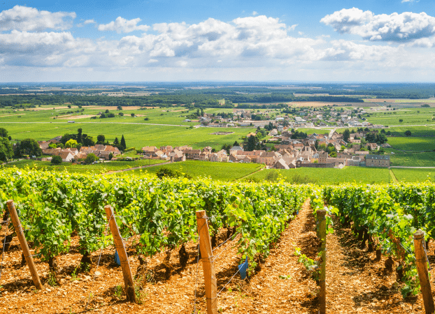 Bourgogne Bourgogne