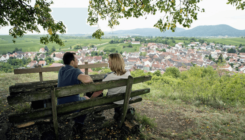 Pohľad na Ilbesheim Pohľad na Ilbesheim