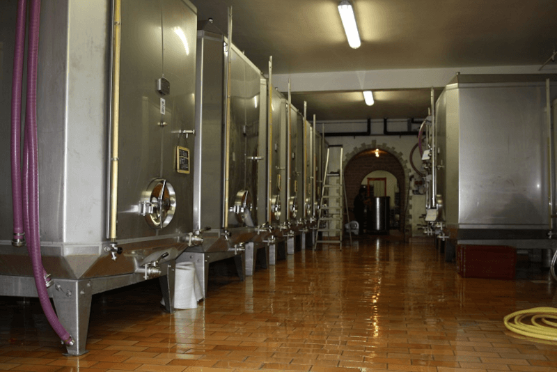 V pivnici vinárstva