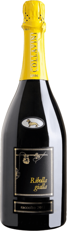 Ribolla Gialla Brut Millesimato Spumante - Eugenio Collavini