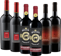 6er Probierpaket - Unsere Top 3 Appassimento Weine