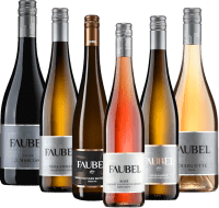 Báječné vína z Weingut Faubel - 6x degustačný balíček