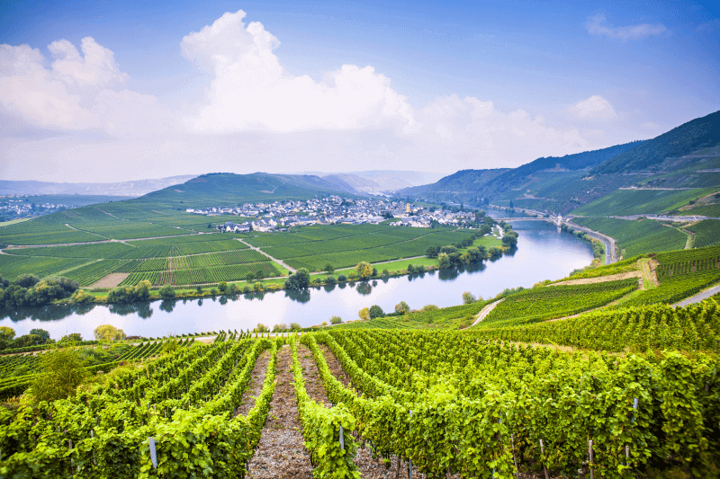 Peter Mertes pivnica Rotwild na Mosele Peter Mertes pivnica Rotwild na Mosele