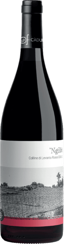 Ngilu Colline di Levanto Rosso - Ca' du Ferra