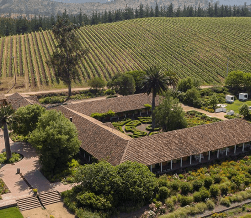 Matetic Vineyards Krajina